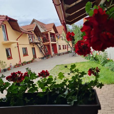 Vila Vladut Zarnesti Ngoại thất bức ảnh