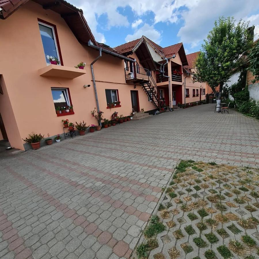 Vila Vladut Zarnesti Ngoại thất bức ảnh