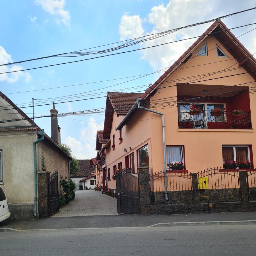 Vila Vladut Zarnesti Ngoại thất bức ảnh