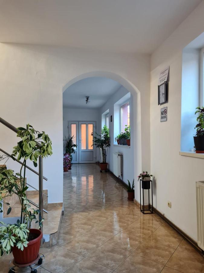 Vila Vladut Zarnesti Ngoại thất bức ảnh