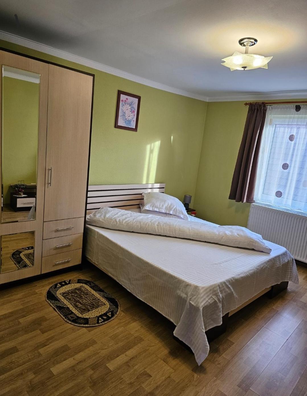 Vila Vladut Zarnesti Ngoại thất bức ảnh