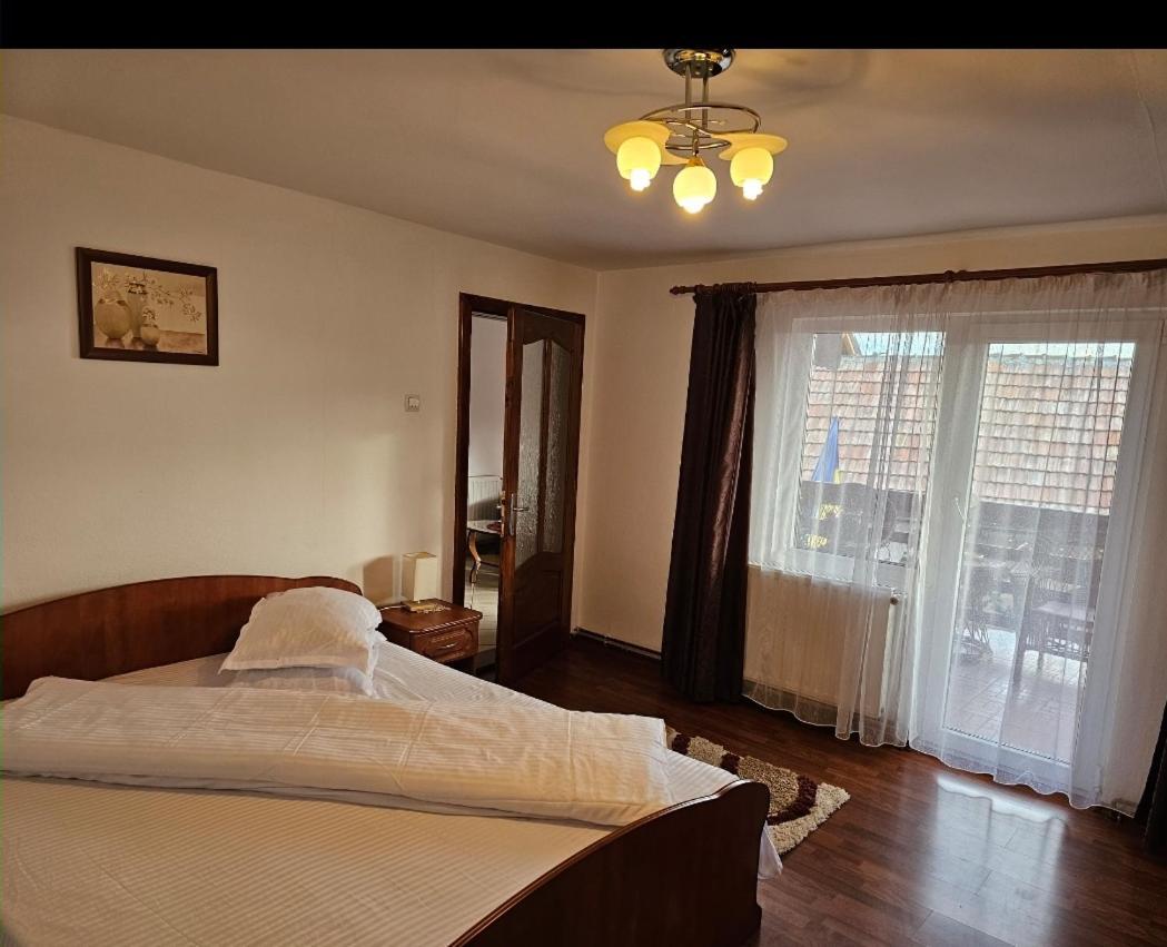 Vila Vladut Zarnesti Ngoại thất bức ảnh