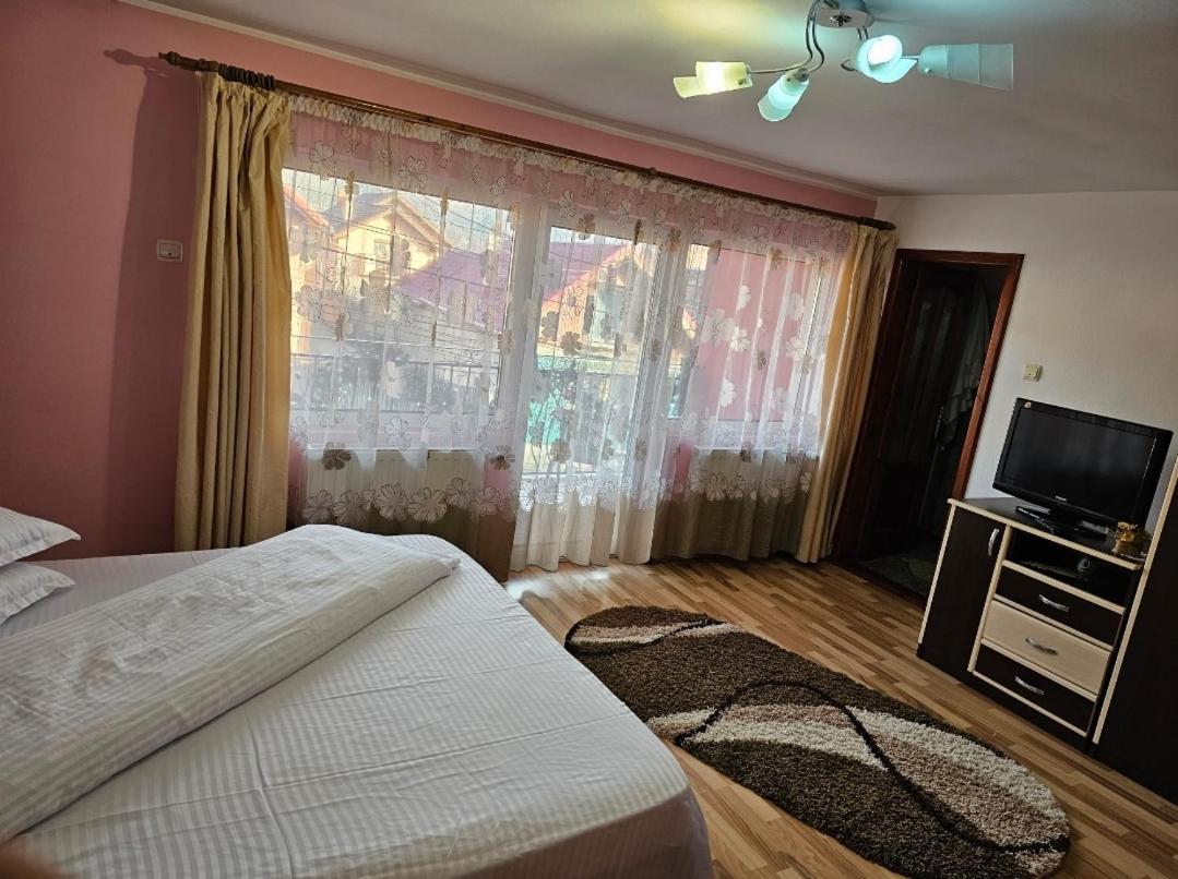 Vila Vladut Zarnesti Ngoại thất bức ảnh