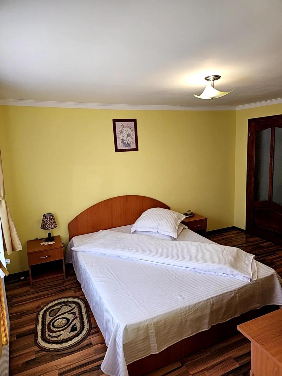 Vila Vladut Zarnesti Ngoại thất bức ảnh