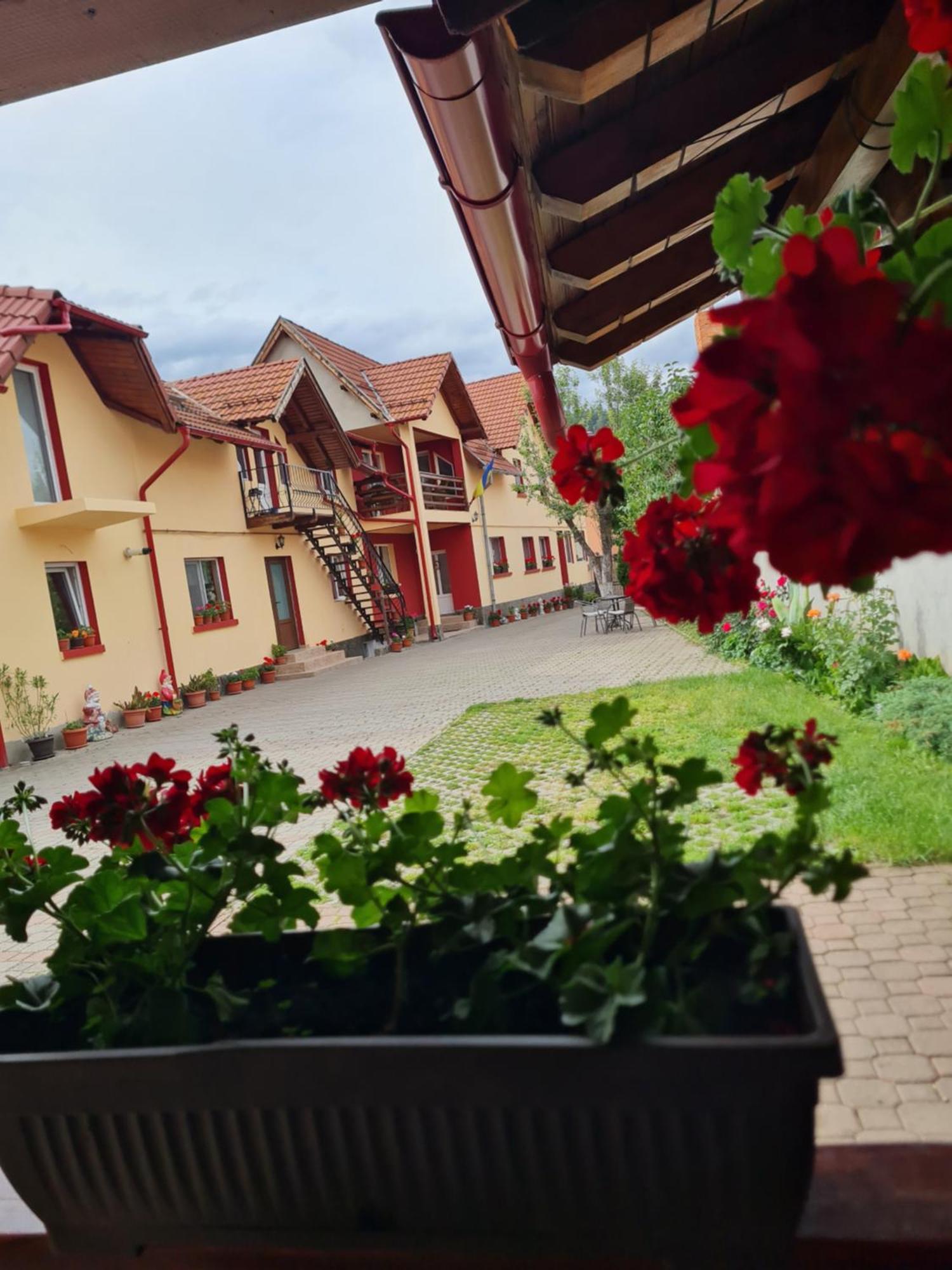 Vila Vladut Zarnesti Ngoại thất bức ảnh