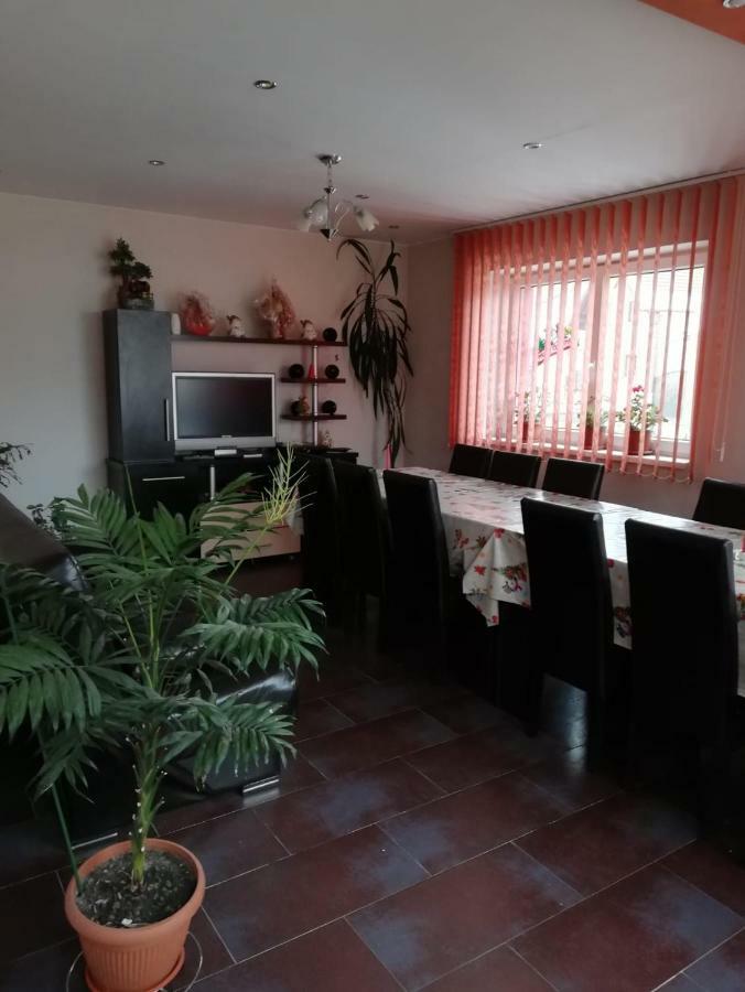 Vila Vladut Zarnesti Ngoại thất bức ảnh